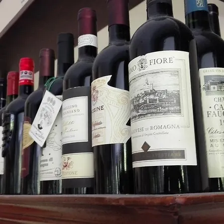 Hotel Betulla Rímini