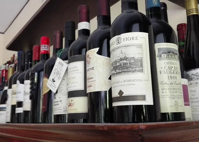 فندق Betulla ريميني